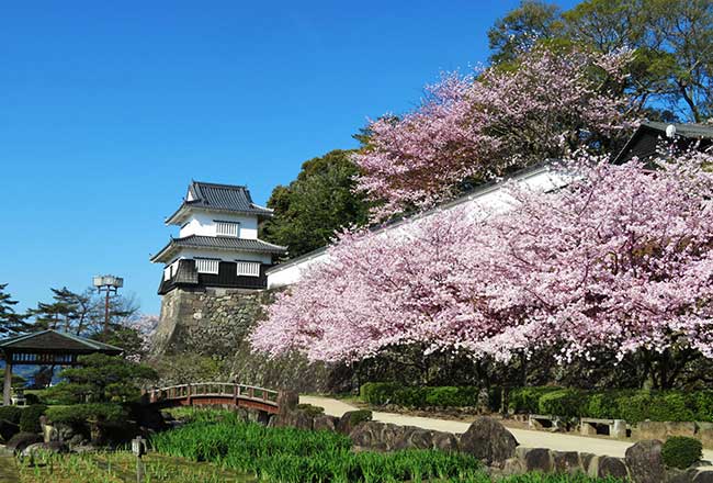 長崎県大村市 歴史ページ