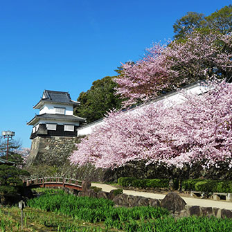 玖島城跡の画像