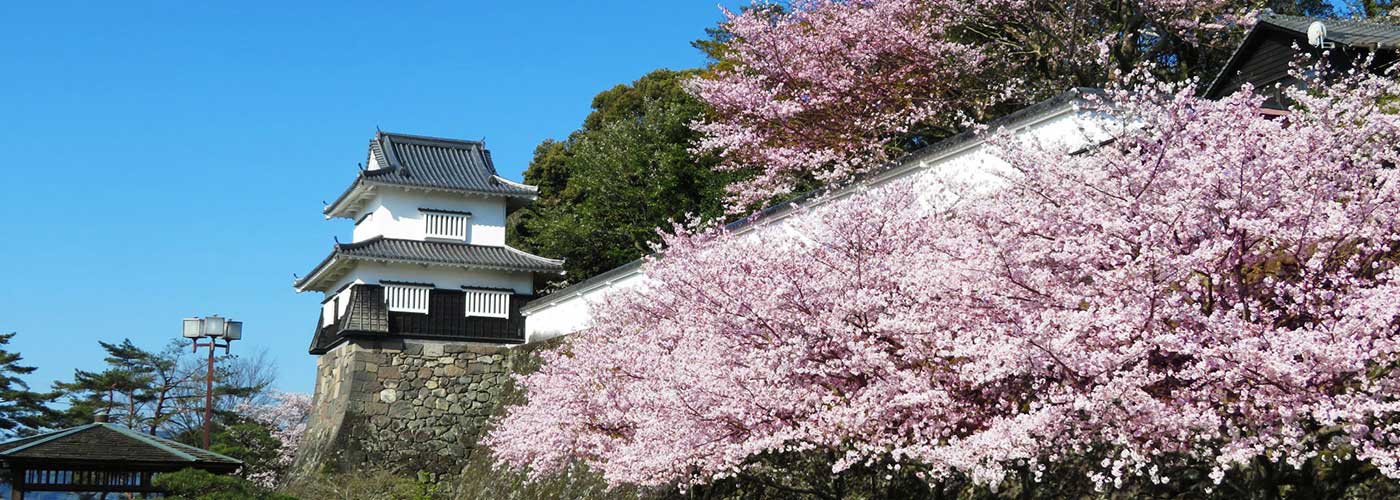 大村公園の画像