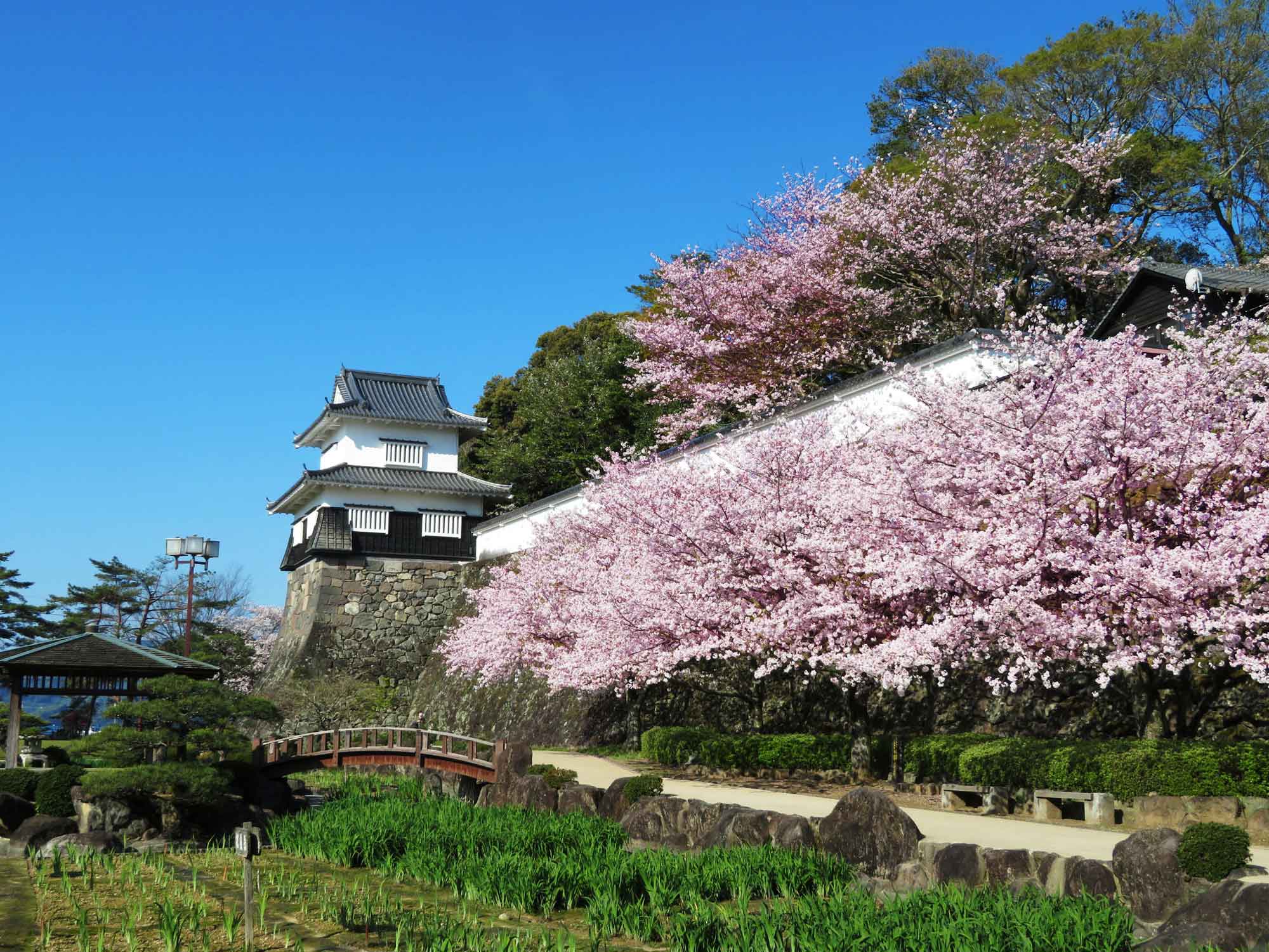 大村公園の画像